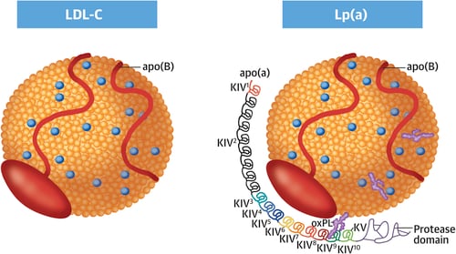 Lipoproetina(a)