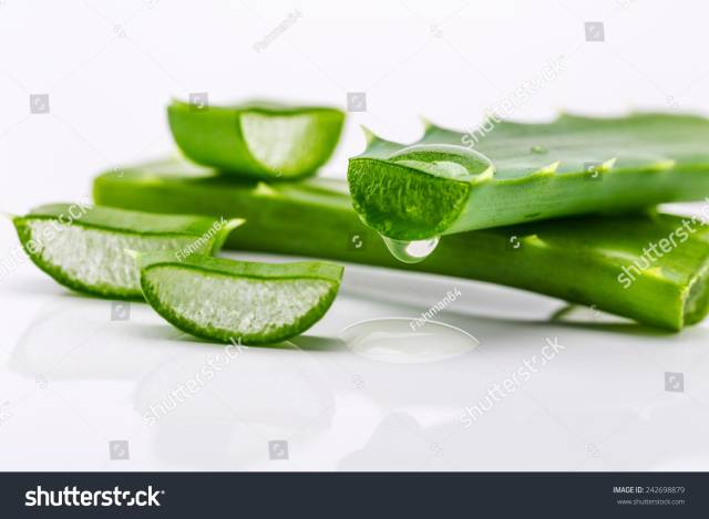 impacco di aloe vera